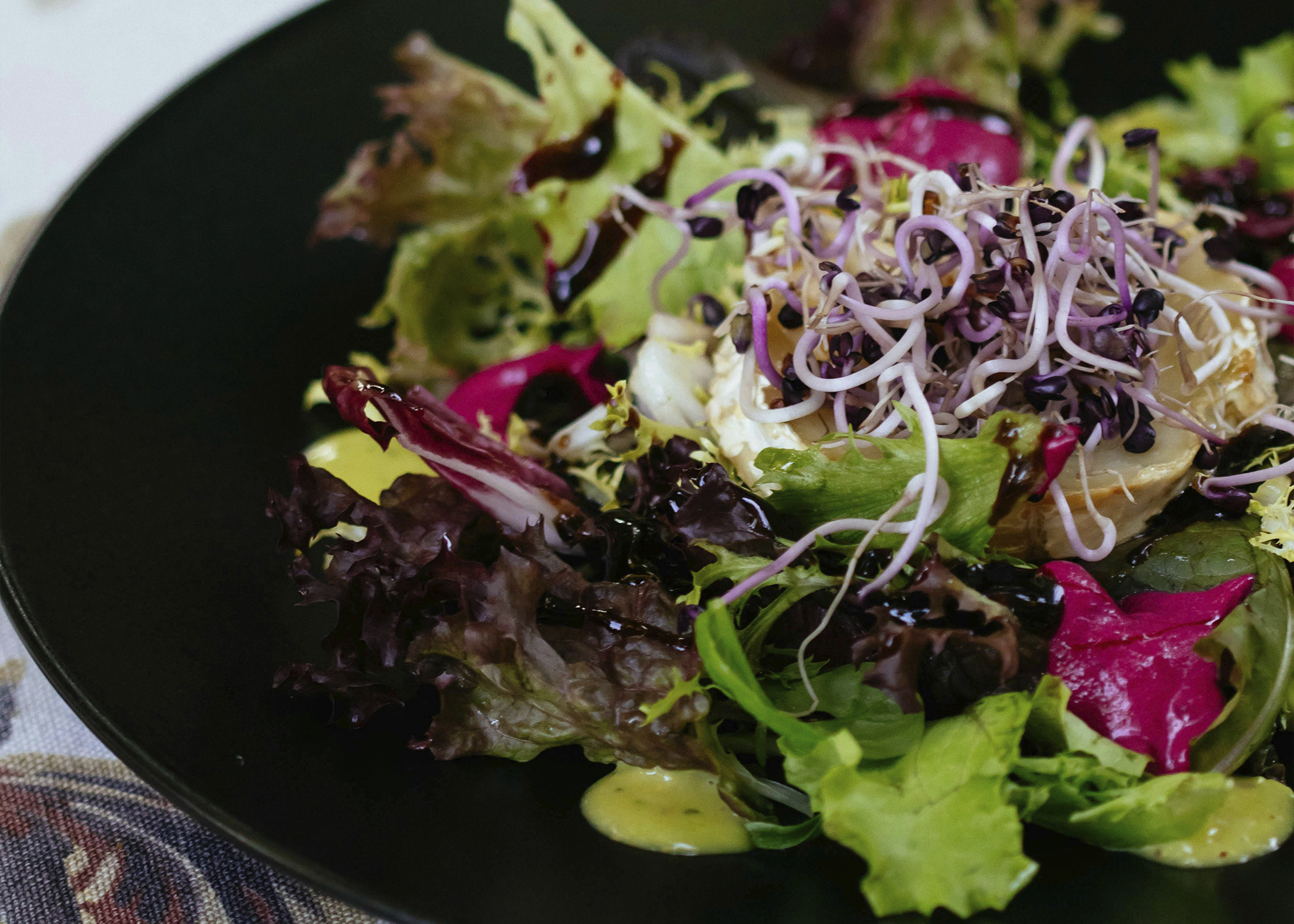 Why Are Phytonutrients So Important Mgi Clinic